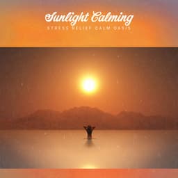 Sunlight Calming - Stress Relief Calm Oasis