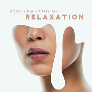 Soothing Paths of Relaxation: Breathing, Mindfulness & Stress Relief - Relaxation New Age Melodies