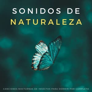 Sonidos De Naturaleza: Canciones Nocturnas De Insectos Para Dormir Por Completo - Los mejores sonidos de la naturaleza