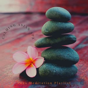 Calming Asian Spa - Yoga Meditation Playlist