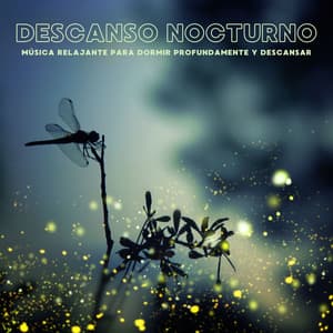 Descanso Nocturno: Música Relajante para Dormir Profundamente y Descansar - El Sueño