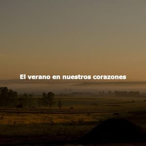 El verano en nuestros corazones - Classy Lounge Playlist