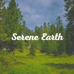 Serene Earth - Sounds of Nature Noise