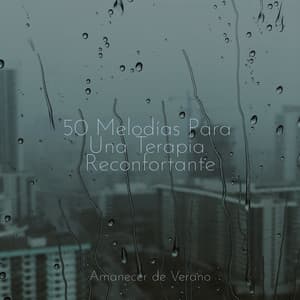 50 Melodías Para Una Terapia Reconfortante - Children's Music