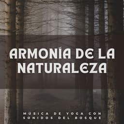Armonía De La Naturaleza: Música De Yoga Con Sonidos Del Bosque - Ruido y Naturaleza