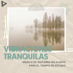 Música De Guitarra Relajante Para El Tiempo De Estudio - Vibraciones Tranquilas