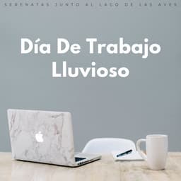 Día De Trabajo Lluvioso: Serenatas Junto Al Lago De Las Aves - Grabación de lluvia