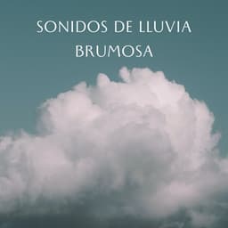 Sonidos De Lluvia Brumosa - Cara de lluvia