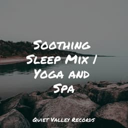 Soothing Sleep Mix | Yoga and Spa - Rainy Sounds