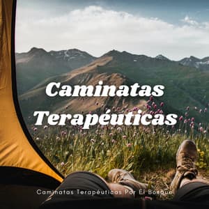Caminatas Terapéuticas Por El Bosque - Sonidos Del Bosque