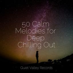 50 Calm Melodies for Deep Chilling Out - Shakuhachi Sakano
