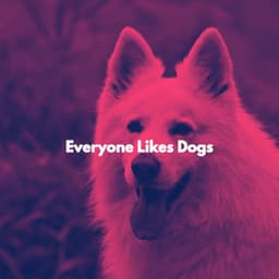 Everyone Likes Dogs - Soft Jazz Songs
