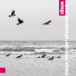 Wings - Adam Pieronczyk