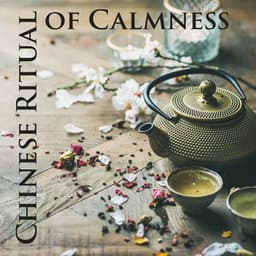 Chinese Ritual of Calmness - Chinese Yang Qin Relaxation Man