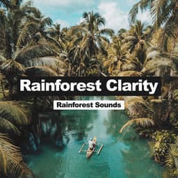 Rainforest Clarity - Rainforest Sounds