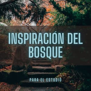 Inspiración Del Bosque Para El Estudio - Tonos de estudio Binaural