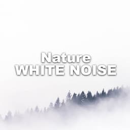 White Noise - White Noise