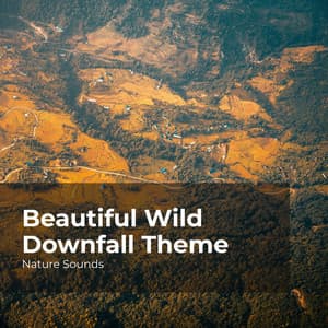 Beautiful Wild Downfall Theme - Nature Sounds
