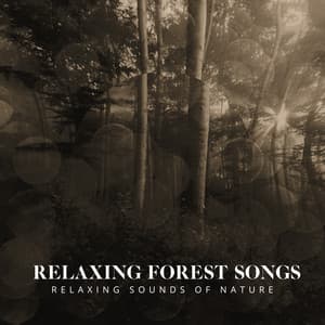 Relaxing Forest Songs - Relaxing Sounds Of Nature