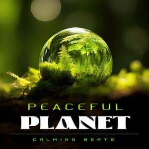 Peaceful Planet - Calming Beats