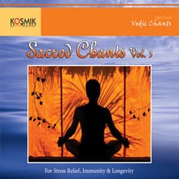 Sacred Chants Vol. 3 - Stephen Devassy