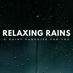 Relaxing Rains: A Rainy Paradise For You - Sound of the Wilderness