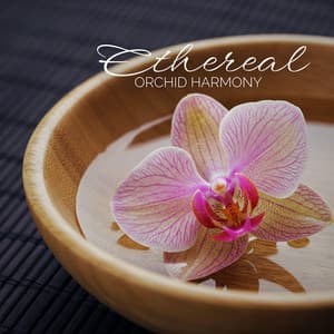 Ethereal Orchid Harmony - Tranquility Spa Universe
