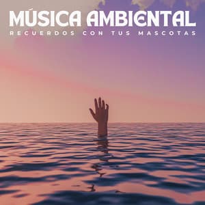 Música Ambiental: Recuerdos Con Tus Mascotas - Generar vibraciones