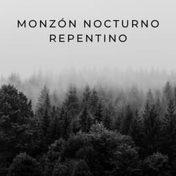 Monzón Nocturno Repentino - Lluvia de Berlín