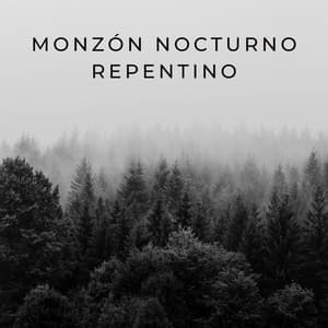 Monzón Nocturno Repentino - Lluvia de Berlín