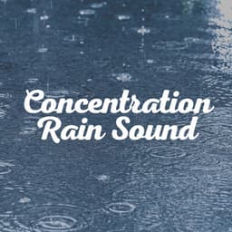 Concentration Rain Sound - Rain Lullaby