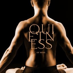 Quietness of Mind – Bring Your Body Into Focus With Nature Sounds - Nature Sounds Artists