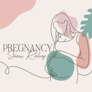 Pregnancy Stress Relief: Relaxing Celtic Music for Hypnobirthing, Pregnancy Mindfulness and Meditation, Positive Birth Experience - Reiki Healing Zone