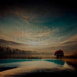 50 Sonidos De La Naturaleza - Maestros Zen Para Meditar - Spa