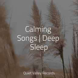 Calming Songs | Deep Sleep - Naturaleza Sonidos
