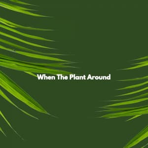 When The Plant Around - Jazz Rilassante Progetto