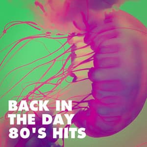 Back in the Day 80's Hits - 80s Pop Stars