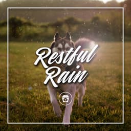 Restful Rain - Dog Sounds