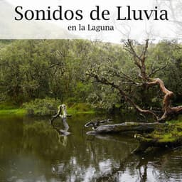 Sonidos de Lluvia en la Laguna - Musica para Estudiar Specialistas