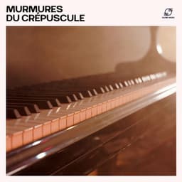 Murmures du Crépuscule - Musique de Piano de Détente