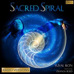 Sacred Spiral - Yuval Ron