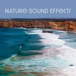 Nature Sound Effects - Sound Effects Music Set