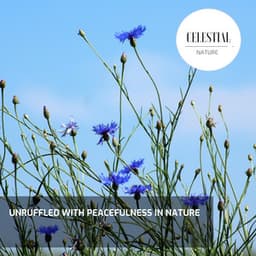 Unruffled With Peacefulness in Nature - Nature Radiance