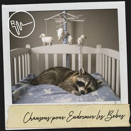 Chansons pour Endormir les Bébés: Sérénade du Crépuscule - Solfeggio Frequencies 528Hz