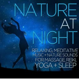 Nature at Night - Relaxing, Meditative Music and Nature Sounds for Massage, Reiki, Yoga, And Sleep - Nature Tribe
