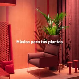 Música para tus plantas - Hotel Lounge Sound