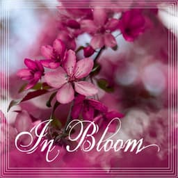 In Bloom - Meditation Relaxation Club