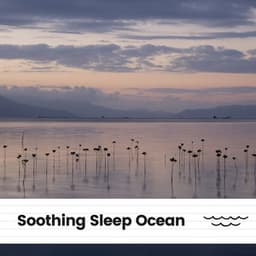 Soothing Sleep Ocean - Water Science