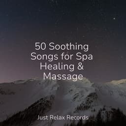50 Soothing Songs for Spa Healing & Massage - Meditación Guiada
