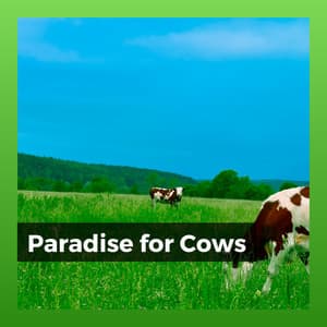 Paradise for Cows - The Forest Escape